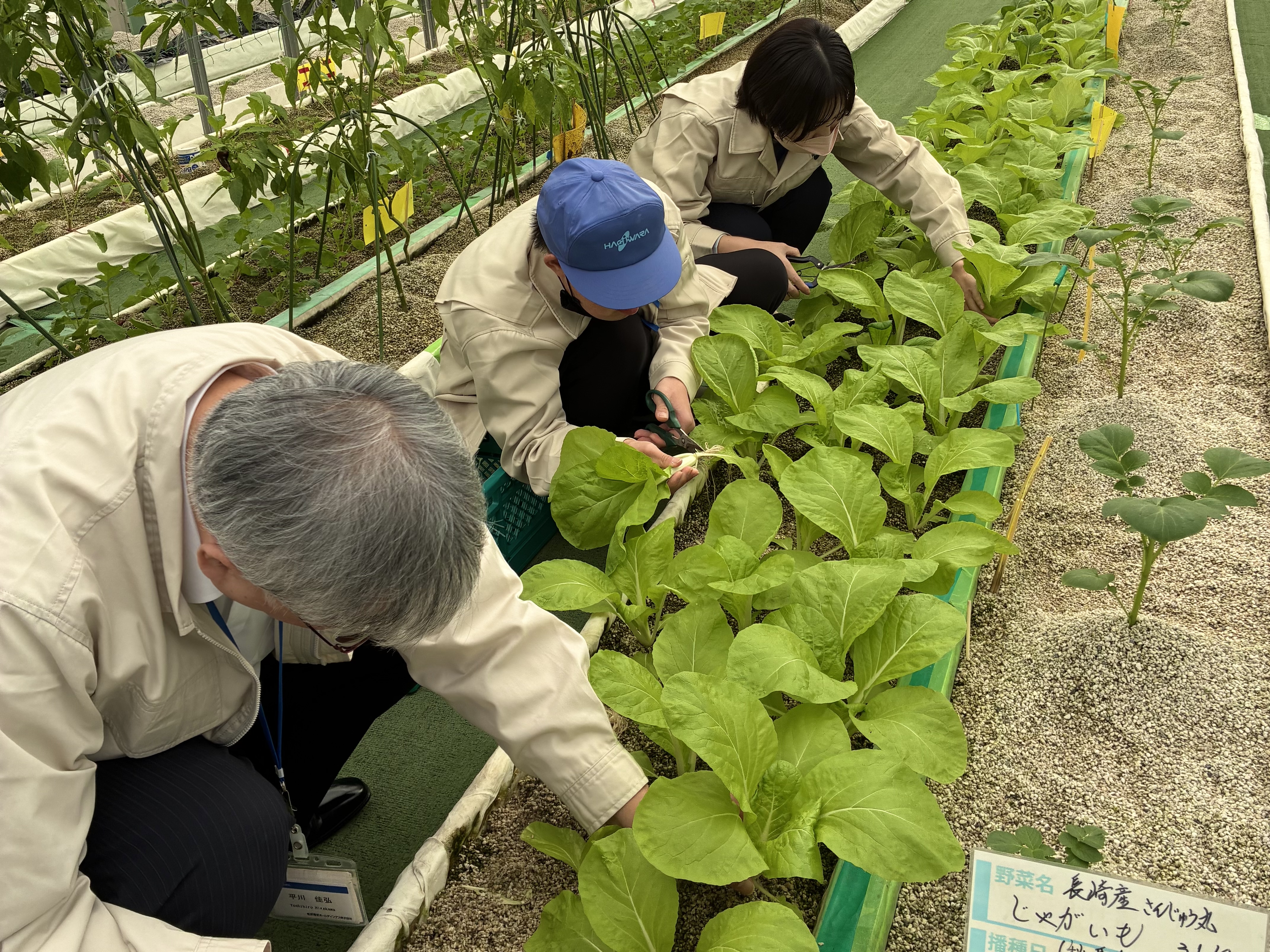 2_Image - 2025-11-14T113236.696.jpg