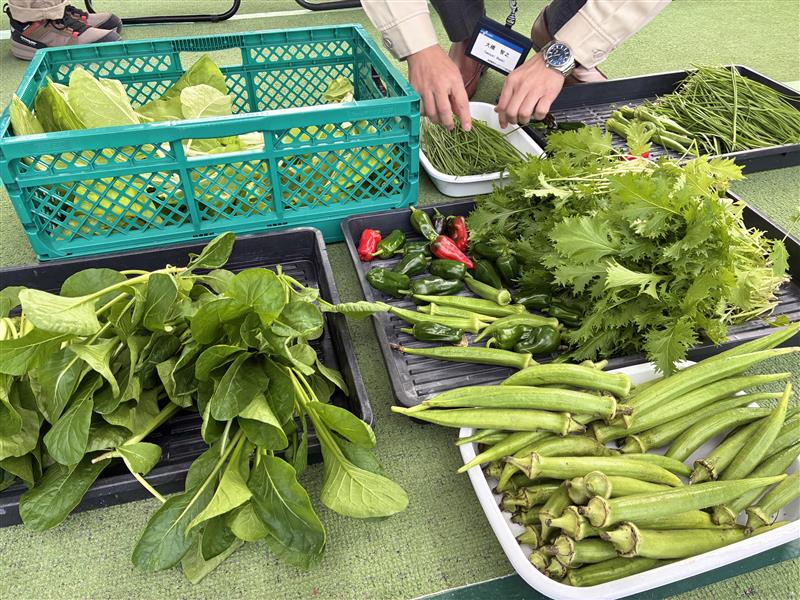 5_Image - 2025-11-14T113227.977.jpg